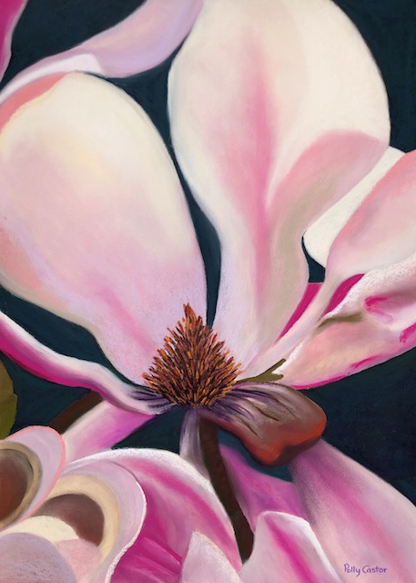 Magnified Magnolia by Polly Castor