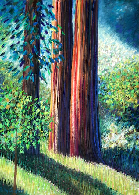 Old Growth by Polly Castor